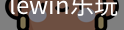LEwin乐玩官网